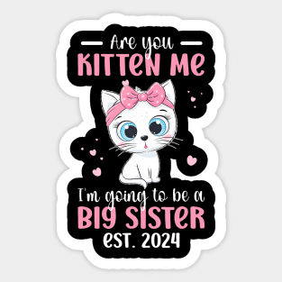 Funny Big Sister To Be 2024 Promoted To Big Sister 2024 Sticker